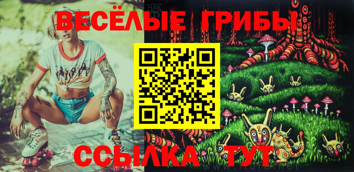 Галлюциногенные грибы Cubensis Пугачёв